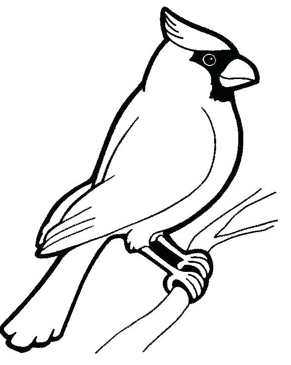 579x725 Robin Bird Coloring Pages Baby Bird Coloring Page Robin Bird