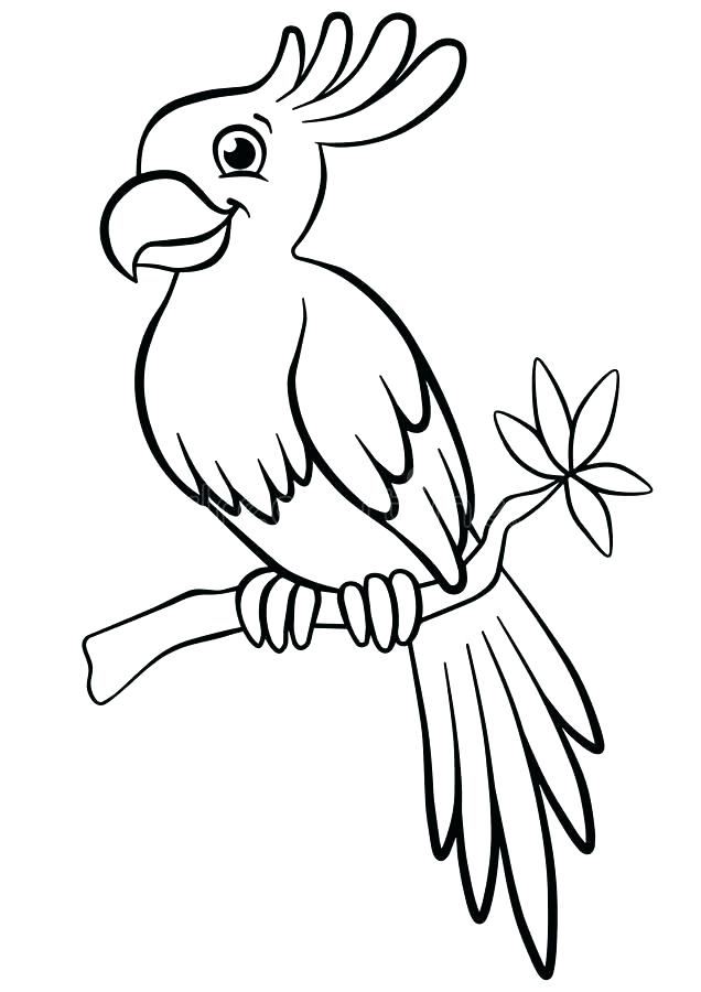 636x900 Robin Bird Coloring Pages Coloring Page A Bird Coloring Page