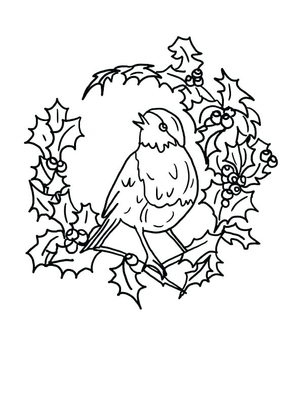 Robin Bird Coloring Pages at GetColorings.com | Free printable