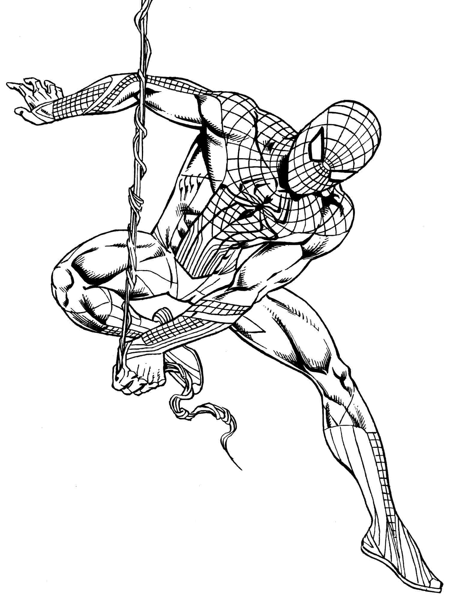 Download Or Print The Free Spiderman On Rope Coloring Page 1497x2000 Download Or Print The Free Spiderman On Rope Coloring Page