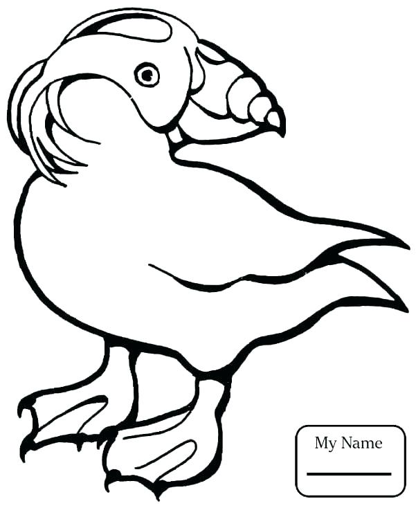 601x734 Rock Coloring Pages Puffin Coloring Page Coloring Pages Horned