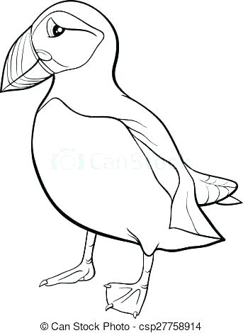 343x470 Rock Coloring Page Rock Coloring Pages Puffin Coloring Page Puffin