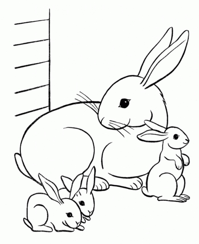 700x856 Practical Coloring Pictures Of Bunnies Printable Rabbit Pages Me