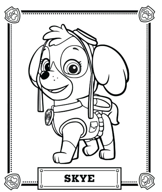 614x730 Paw Patrol Coloriage Bizneme Zuma Rocky Coloring Page Fashionzen