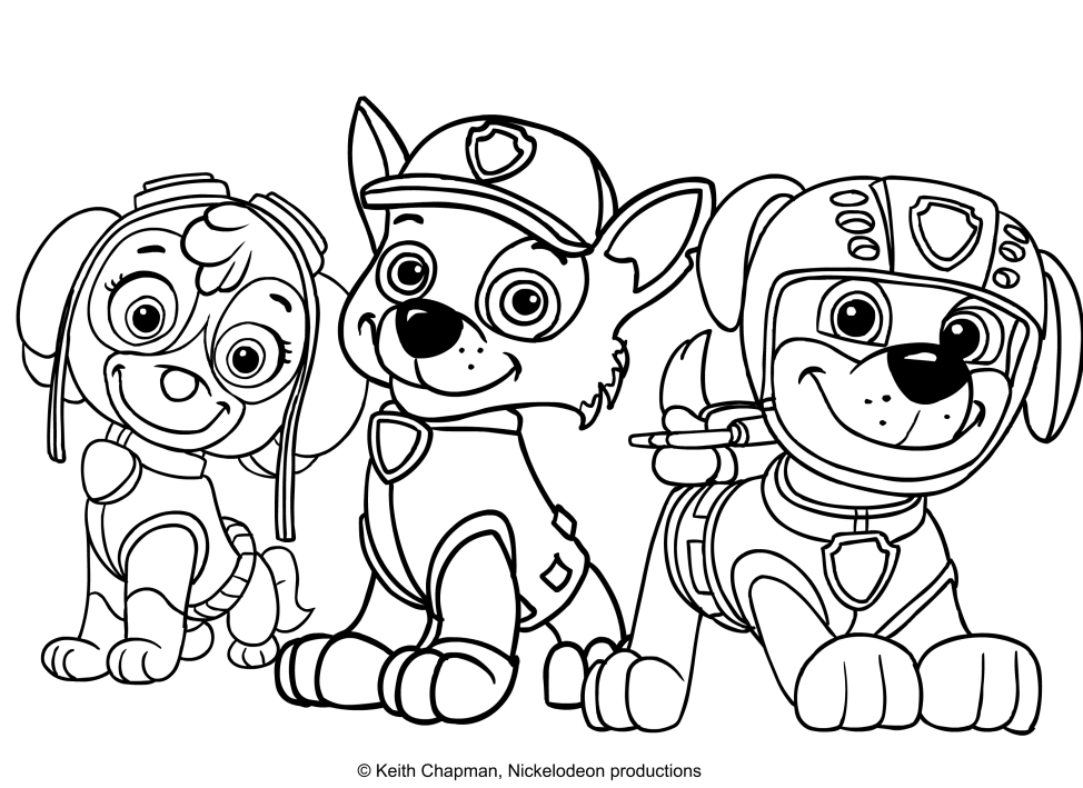 974x709 Skye, Rocky And Zuma. Coloring Page