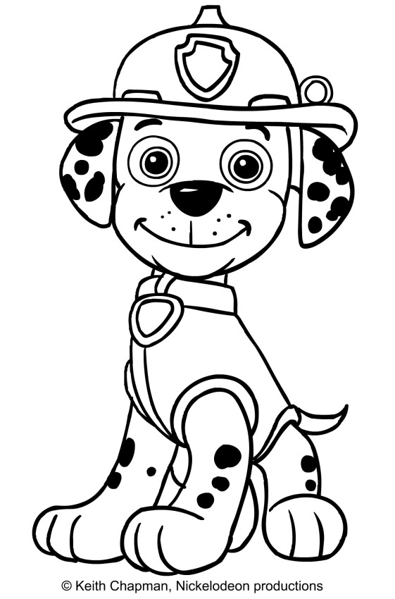 561x850 Skye Marshall And Rocky Coloring Page Showy Paw Patrol