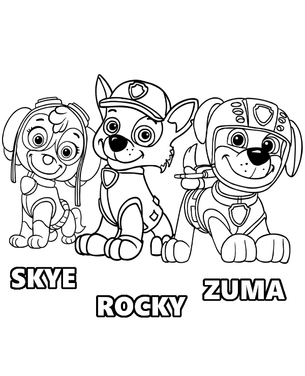 Skye Rocky Zuma Paw Patrol Pups 600x740 Skye Rocky Zuma Paw Patrol Pups