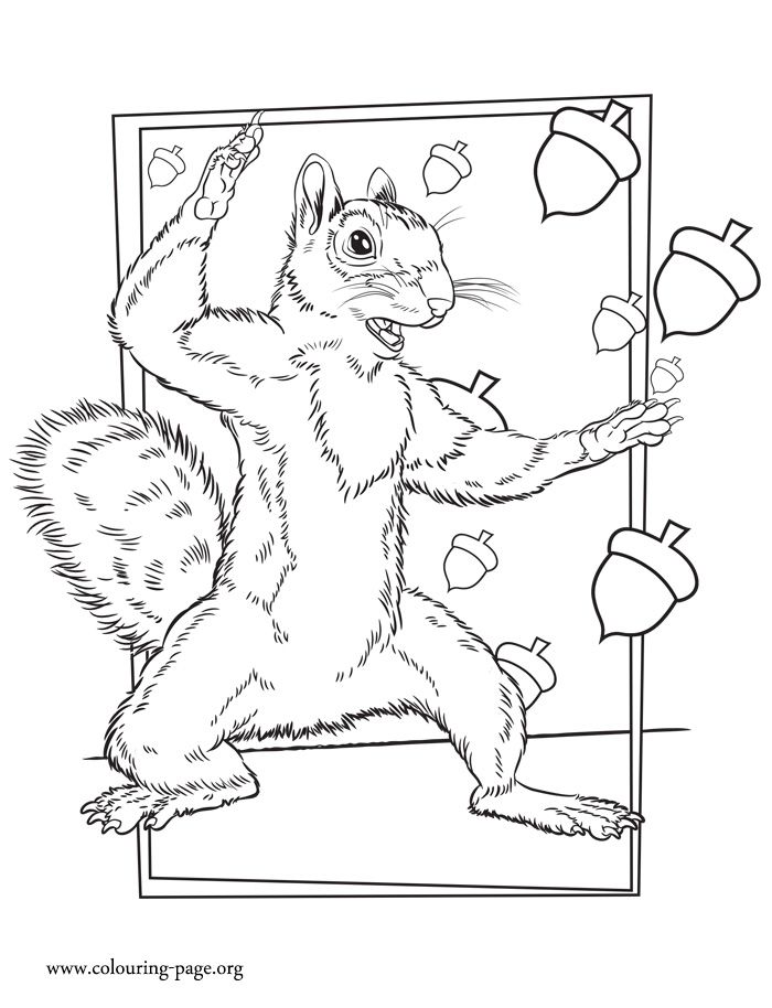 How About To Print And Color The Rodent She Is A Squirrel Who 700x914 How About To Print And Color The Rodent She Is A Squirrel Who