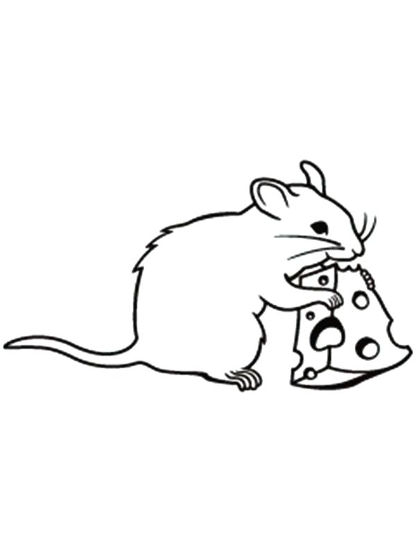 Rat Pictures To Color Mouse And Rat Is Smiling Coloring Pages 600x800 Rat Pictures To Color Mouse And Rat Is Smiling Coloring Pages