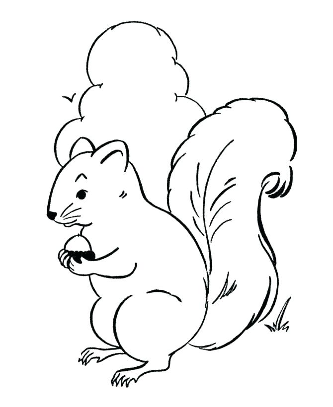 Woodland Animals Coloring Pages Woodland Animals Coloring Pages 670x820 Woodland Animals Coloring Pages Woodland Animals Coloring Pages