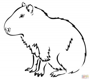 Capybara The Largest Extant Rodent In The World Download 300x266 Capybara The Largest Extant Rodent In The World Download
