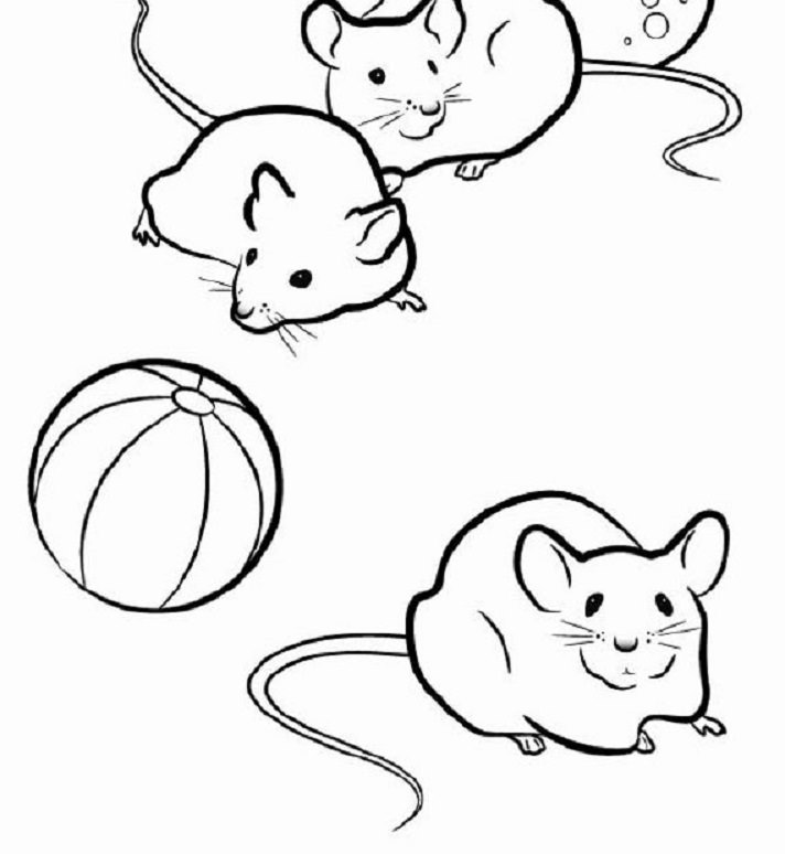 Critters Coloring Pages 712x774 Critters Coloring Pages