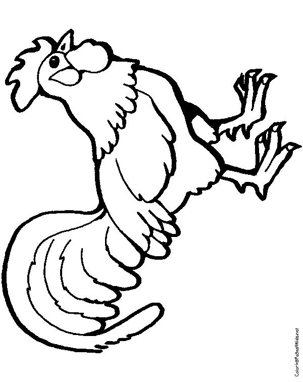Rooster 2 Coloring Page Download And Printable 600x756 Rooster 2 Coloring Page Download And Printable