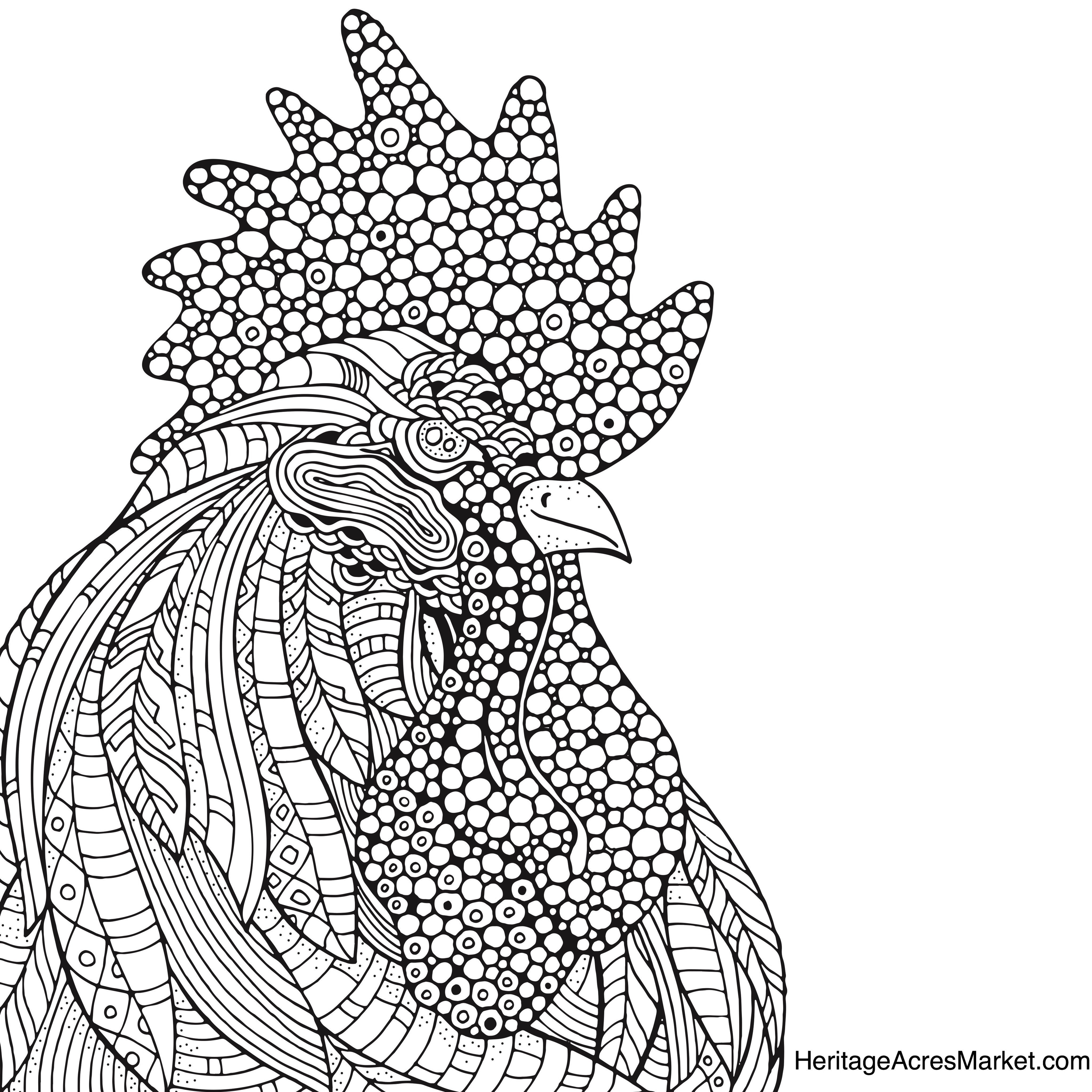 Rooster Coloring Page Heritage Acres Market Llc 4096x4096 Rooster Coloring Page Heritage Acres Market Llc