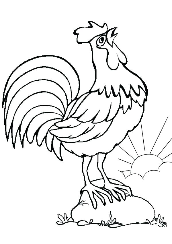 Rooster Coloring Page Drawing A Rooster Coloring Page Fighting 600x850 Rooster Coloring Page Drawing A Rooster Coloring Page Fighting