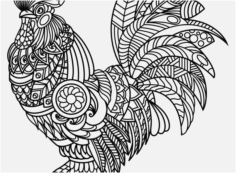 Rooster Coloring Page Gallery Rooster Coloring Pages Coloring 827x609 Rooster Coloring Page Gallery Rooster Coloring Pages Coloring