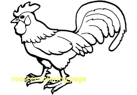 Rooster Coloring Page Rooster Coloring Luxury Rooster Coloring E 476x333 Rooster Coloring Page Rooster Coloring Luxury Rooster Coloring E