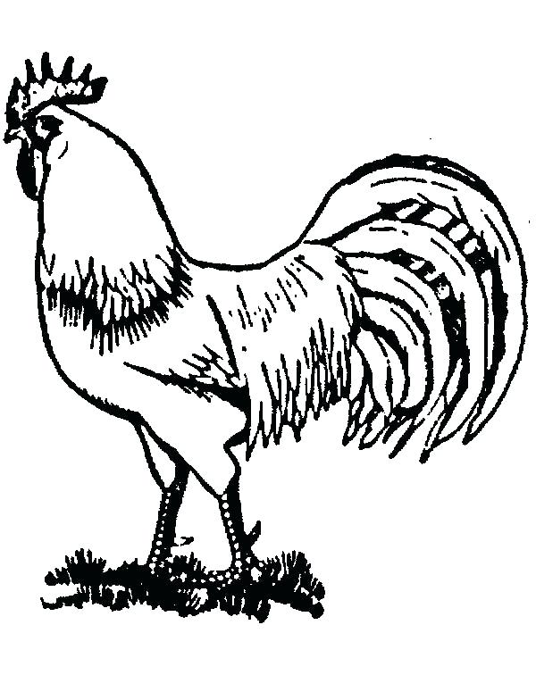 Rooster Coloring Page Rooster Coloring Page Packed With R Is 600x756 Rooster Coloring Page Rooster Coloring Page Packed With R Is