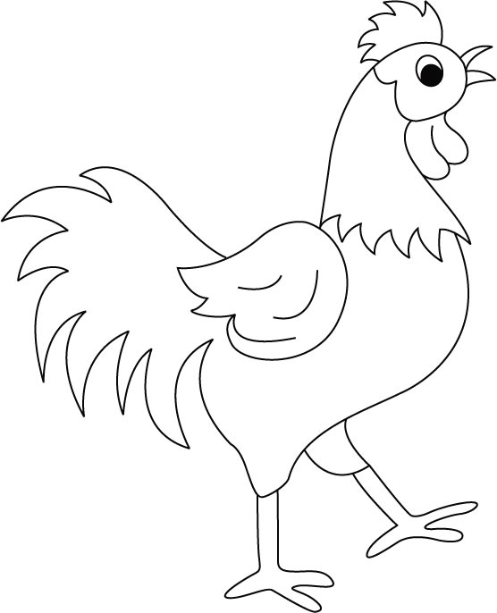 Rooster Coloring Pages 556x686 Rooster Coloring Pages