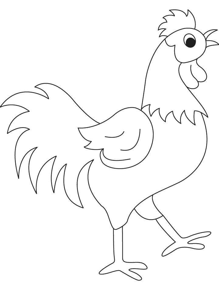 Rooster Coloring Pictures To Print Kids Coloring Morning Bird 720x954 Rooster Coloring Pictures To Print Kids Coloring Morning Bird
