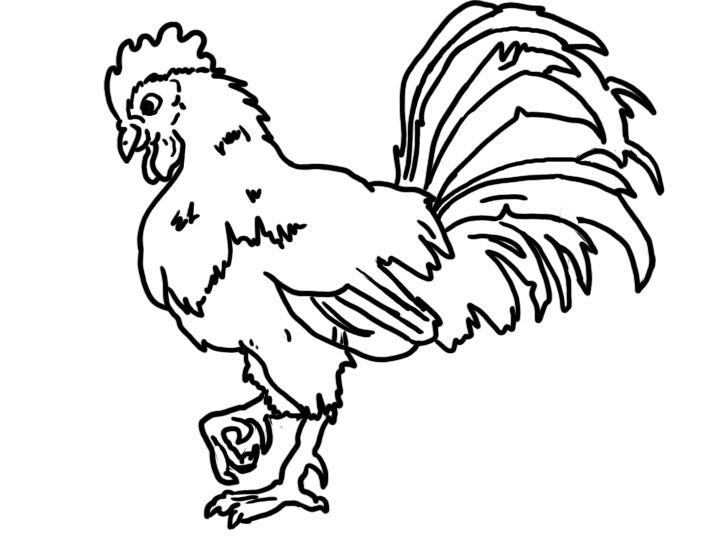 Rooster Coloring Page at GetColorings.com | Free printable colorings ...