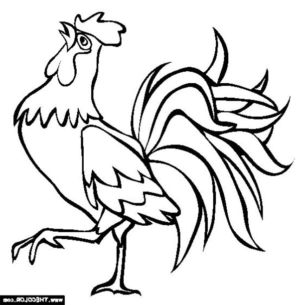 Fresh Rooster Coloring Page 37 About Remodel Line Drawings 600x612 Fresh Rooster Coloring Page 37 About Remodel Line Drawings