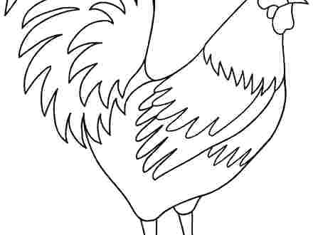 Rooster Coloring Page Best Rooster Coloring Page Free Download 440x330 Rooster Coloring Page Best Rooster Coloring Page Free Download