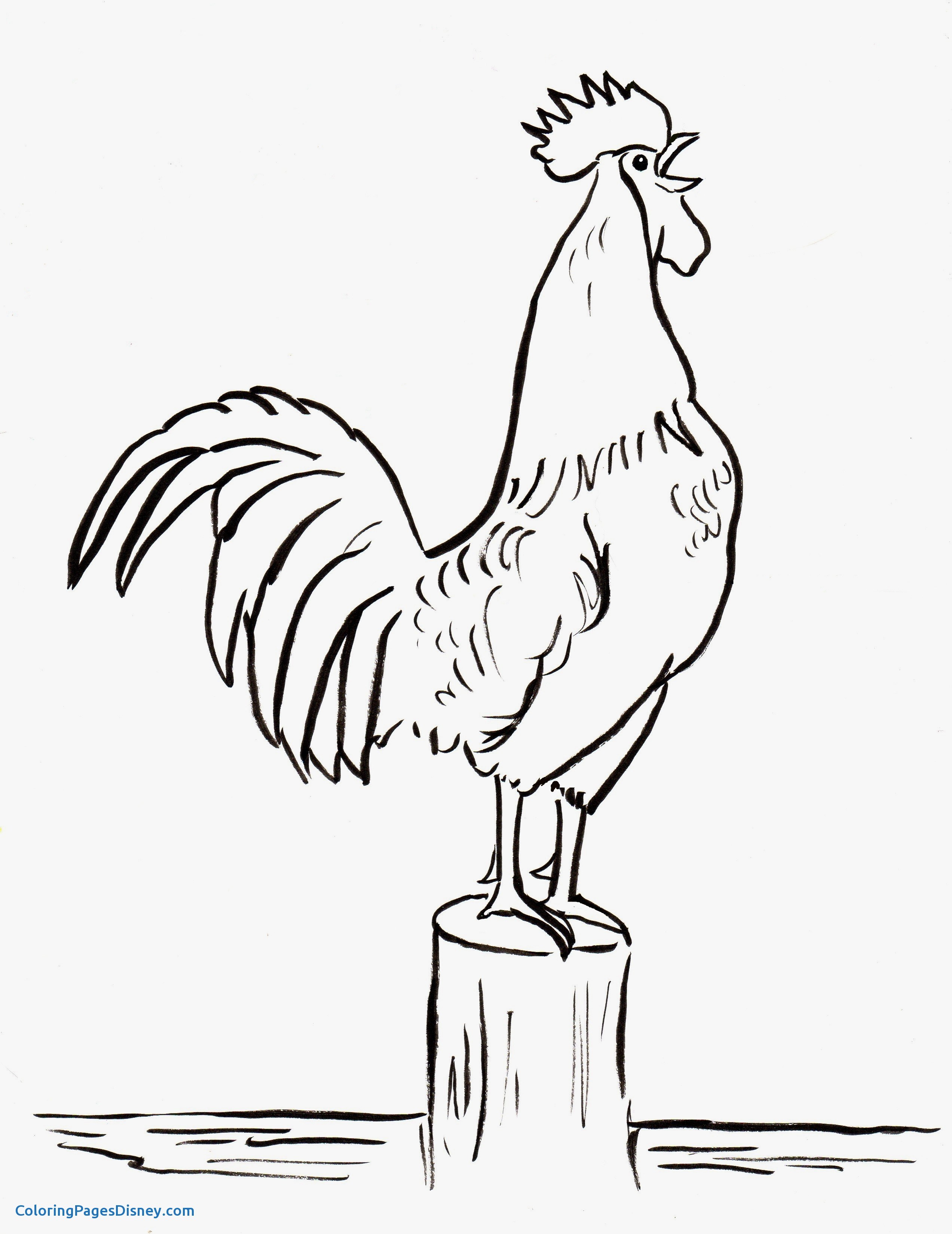 Roosters Coloring Pages Luxury Rooster Coloring Page 2545x3300 Roosters Coloring Pages Luxury Rooster Coloring Page