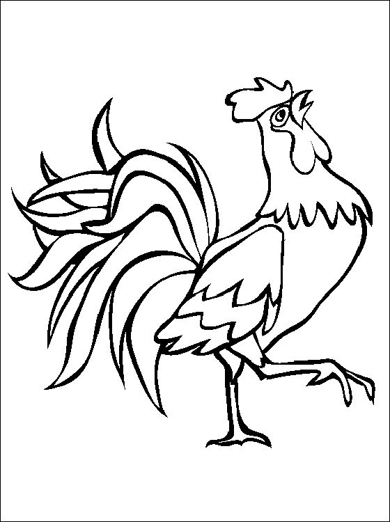 Free Rooster Pictures To Print Printable Animal Coloring Page 560x750 Free Rooster Pictures To Print Printable Animal Coloring Page