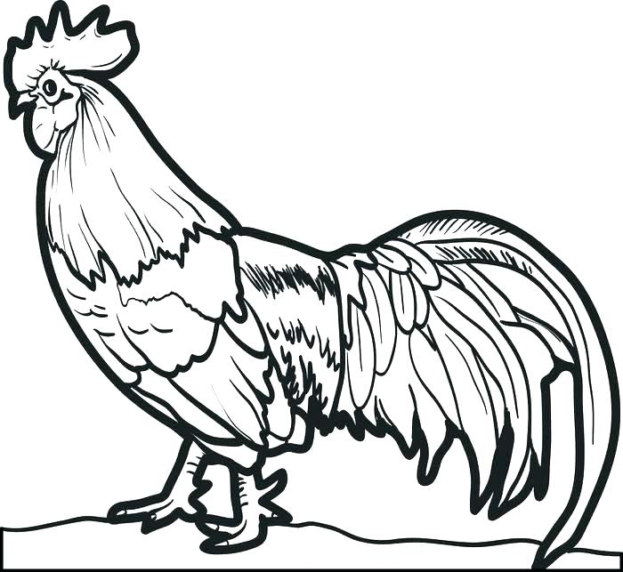 Hen Coloring Pages Hen Coloring Pages Rooster Coloring Page Full 700x643 Hen Coloring Pages Hen Coloring Pages Rooster Coloring Page Full