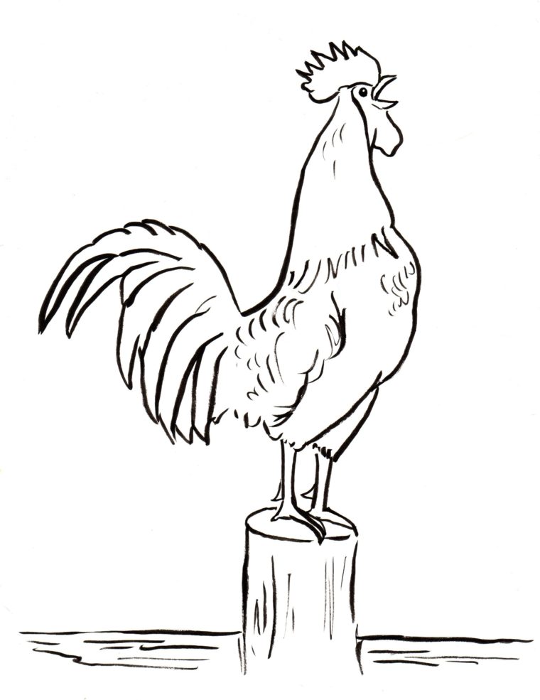 760x985 Rooster Coloring Page