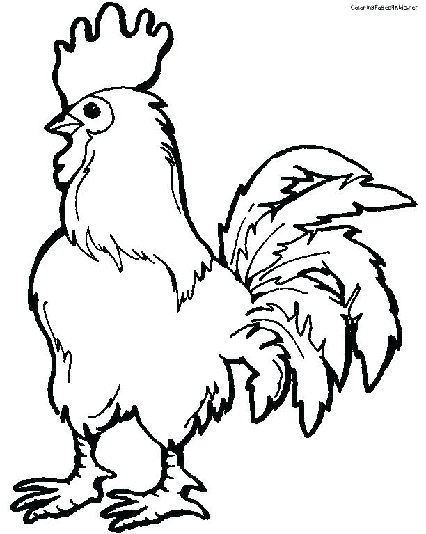 612x767 Rooster Coloring Page For Kids Coloring Sky Rooster Coloring Page