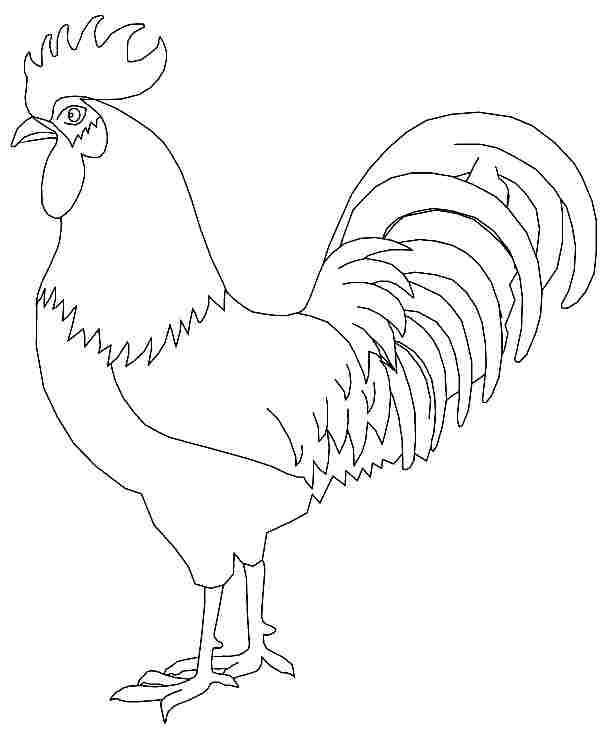 608x735 Rooster Coloring Pages Free Printable