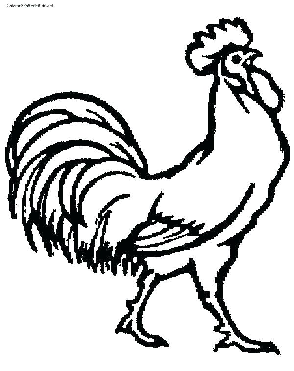 600x756 Rooster Coloring Page Great Rooster Coloring Page Image Pages Free