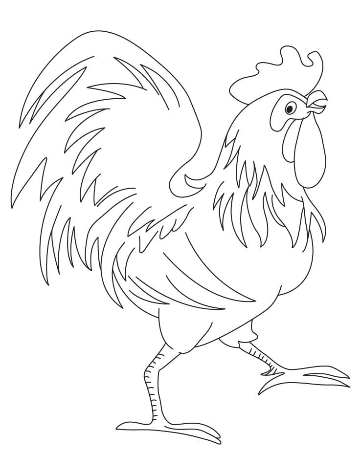 738x972 Rooster Coloring Page Lovely Rooster Coloring Pages Free Coloring