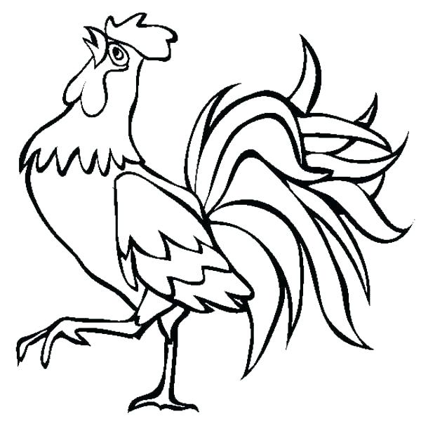 600x600 Best Rooster Coloring Page Free Download As L Pages Cock Best