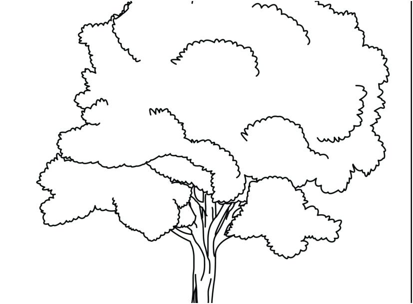 Roots Coloring Page at GetColorings.com | Free printable colorings ...