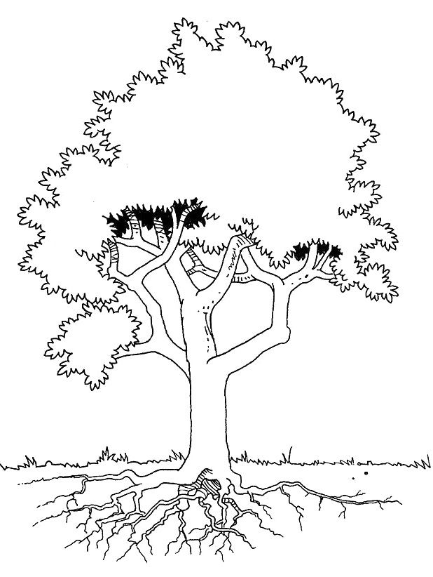618x822 40 Best Kleurplaten Images On Coloring Books, Coloring
