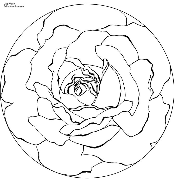 Rose Art Coloring Pages