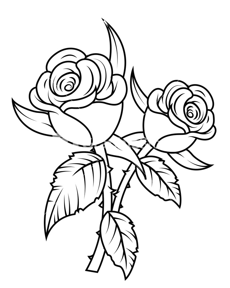 Flower Vase Coloring Pages Tiny Flower Vase Coloring Pages 801x1000 Flower Vase Coloring Pages Tiny Flower Vase Coloring Pages