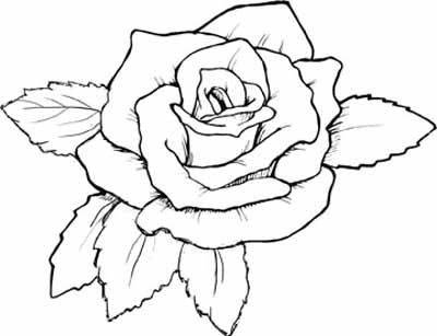 Pretty Rose Art Galleries In Rose Coloring Pages 400x307 Pretty Rose Art Galleries In Rose Coloring Pages