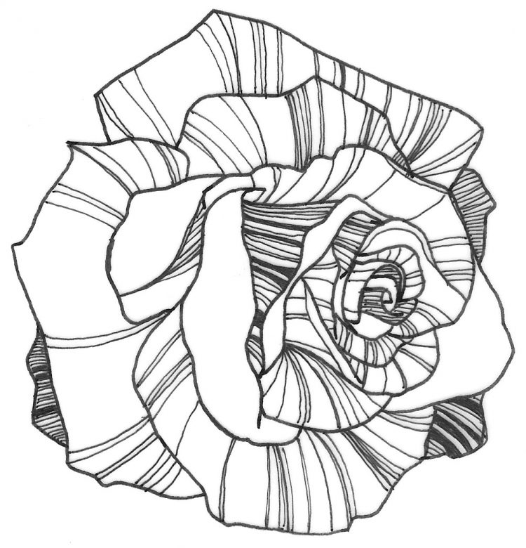 Rose Coloring Books Coloring Rose Coloring Pages Easy Also Rose 750x780 Rose Coloring Books Coloring Rose Coloring Pages Easy Also Rose
