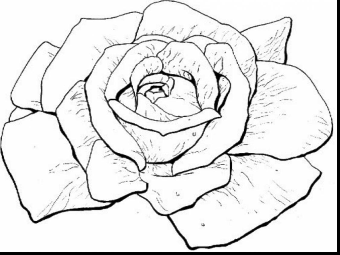 Fascinating Coloring Page Of A Rose Coloring For Sweet Exploit 1126x844 Fascinating Coloring Page Of A Rose Coloring For Sweet Exploit