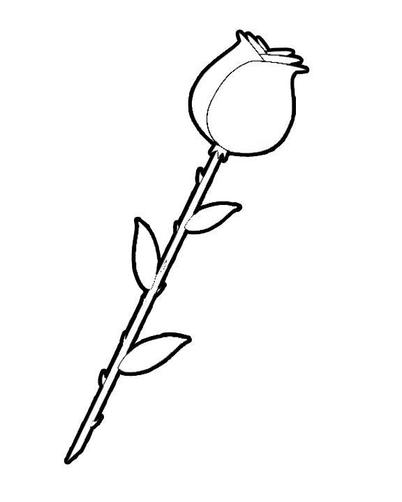 Coloring Rose Coloring Pages Easy In Conjunction With Rose Art 576x720 Coloring Rose Coloring Pages Easy In Conjunction With Rose Art