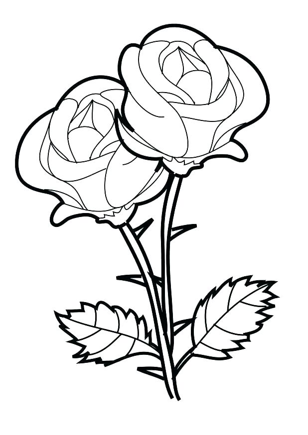 618x874 Rose Color Pages Free Rose Coloring Pages Rose Bouquet Coloring