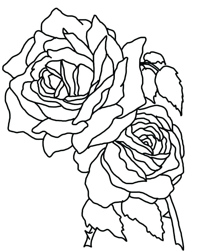 700x872 Rose Bouquet Coloring Pages