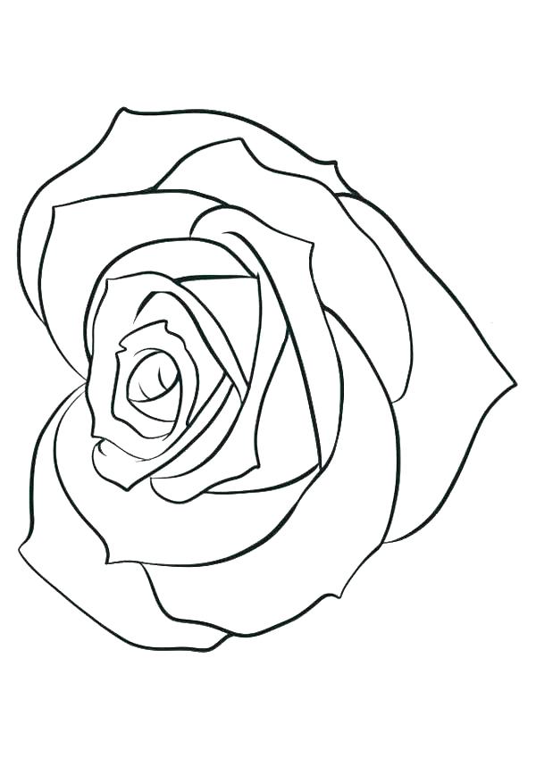 600x849 Popular Rose Coloring Page Cool Ideas Unknown Resolutions Popular