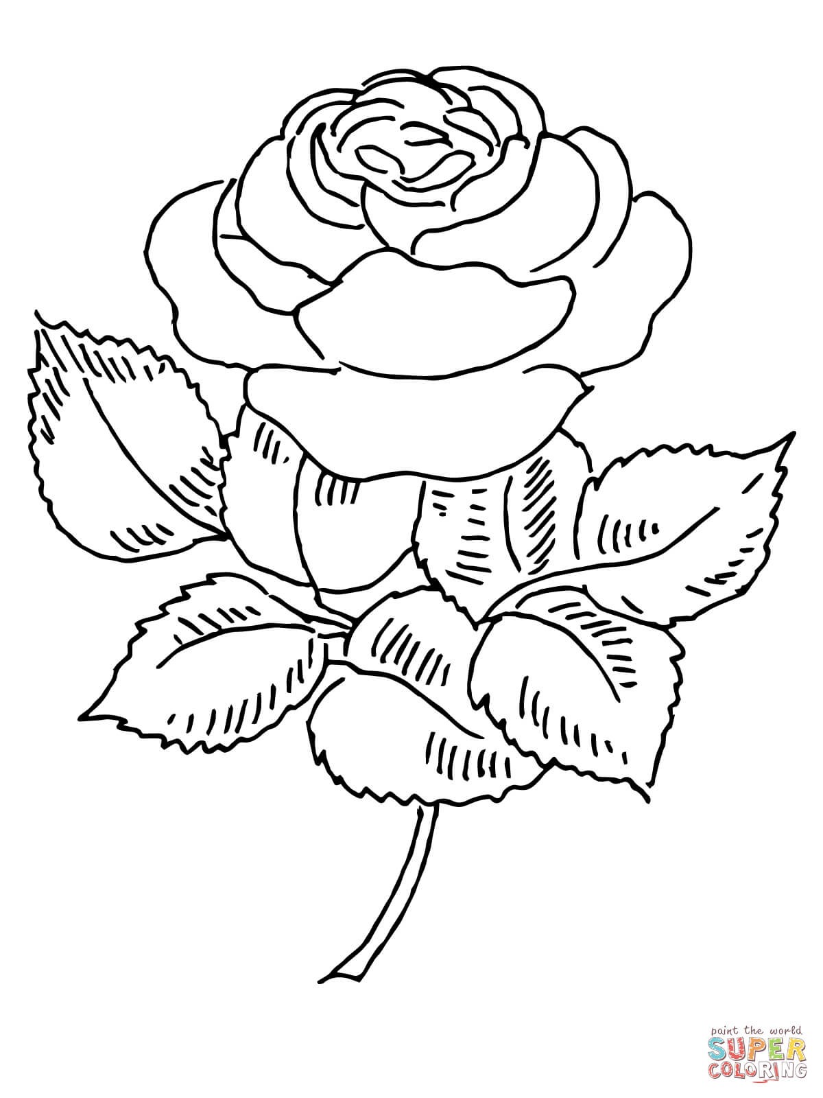 Rose Bud Coloring Pages at GetColorings.com | Free printable colorings ...