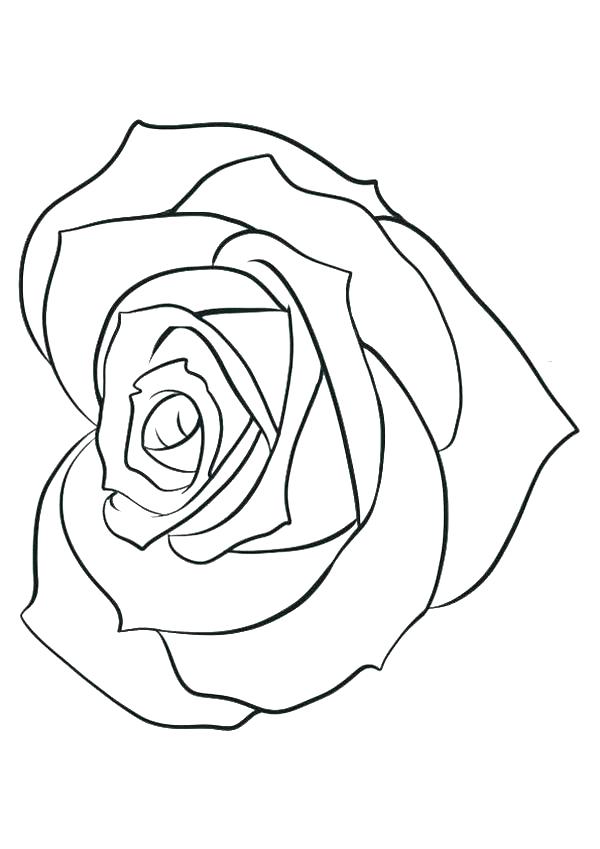 600x849 Rose Flower Coloring Pages Coloring Pages Of Roses Rose Flower