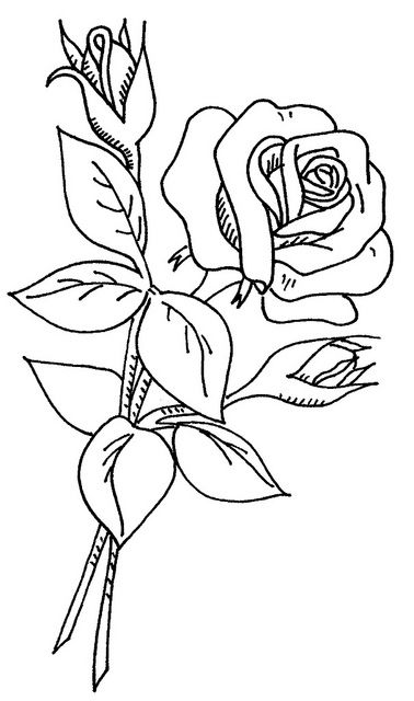 378x640 Wb Flowers 2 37 Adult Coloring, Rose And Flowers